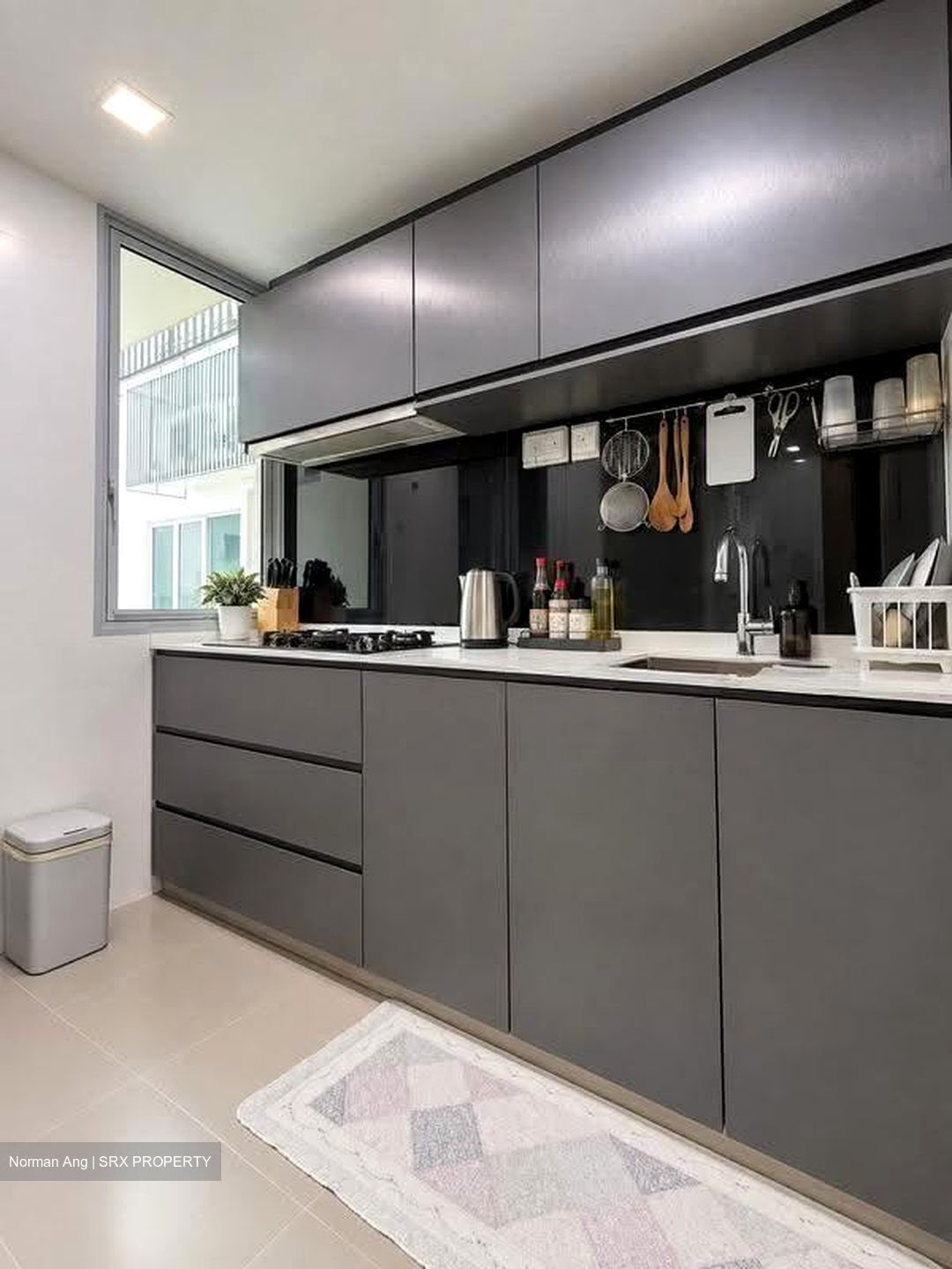 Ecopolitan (D19), Condominium #621719301